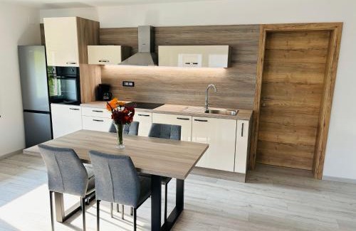 Tolmin Apartment | Livan Apartment
