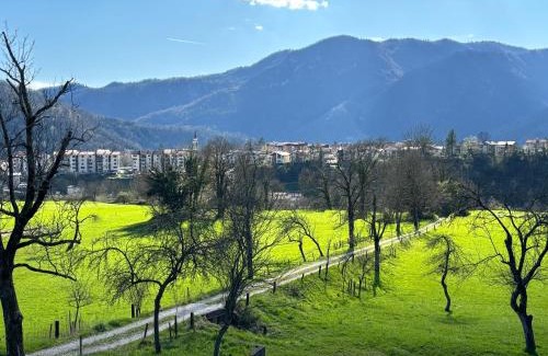 Tolmin Apartment | Livan Apartment
