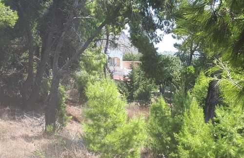 Larissos Villa | LIVING IN NATURE VILLA 200 m2.,4 bed 3 baths in 12.000 m2 field.