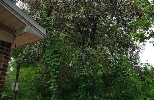 Andalusia House | LixyLouis Andalusia minutes from the Downtown