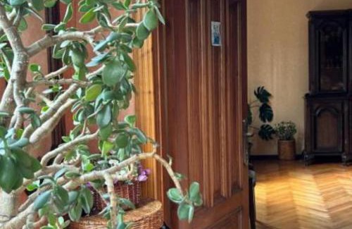 Kutaisi House | Lizi