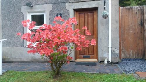 Gwynedd- Snowdonia House | Llugwy Cottage