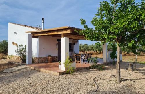 L'Ampolla House | Lo raconet 2
