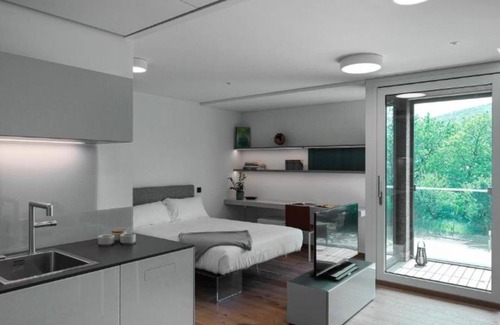 Stabio Apartment | Lo Scudo di Stabio - 35 m² street view SST