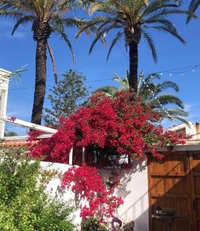 Poble Nou del Delta House | Lo Segador
