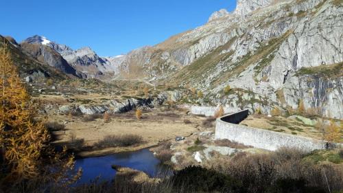 Crodo House | Locanda del Sasso Rooms