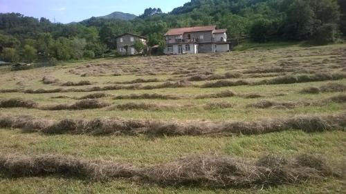 Mulazzo Bed & Breakfast | Locanda di Campagna