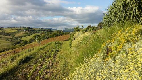 Montecarotto Bed & Breakfast | Locanda San Francesco
