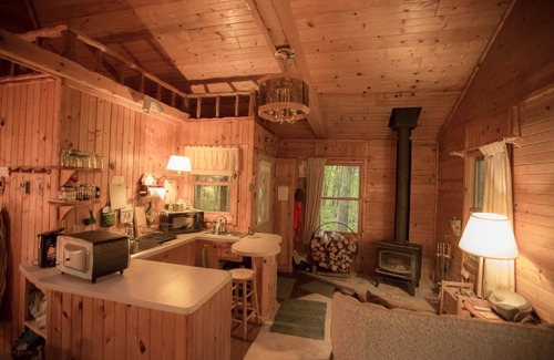 Finlayson Cabin | Located at the Heart of the Solana State Forest in Amongst the Forest Trees