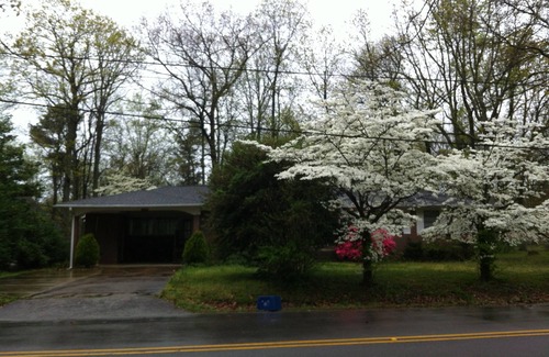 Huntsville House | Located Next To State Park With 2200 Acers Of Hiking, Mountain Biking, Disc Golf