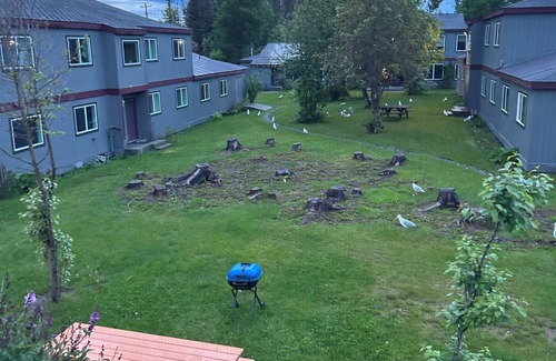 Kenai Apartment | Location! Location! Location! Apt in the heart of Kenai! 1.5 miles to the Beach!