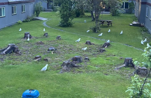 Kenai Apartment | Location! Location! Location! Apt in the heart of Kenai! 1.5 miles to the Beach!