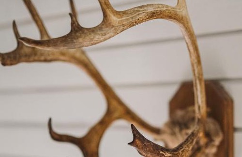 Akaslompolo Cabin | Lodge 67°N Lapland