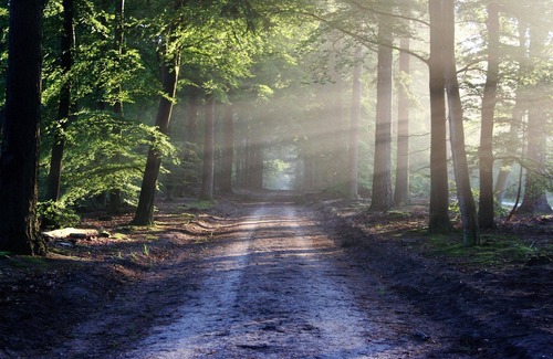 Twin Peaks Cabin | Lodge Cabins 2, 3 and 5 Sleeps 11