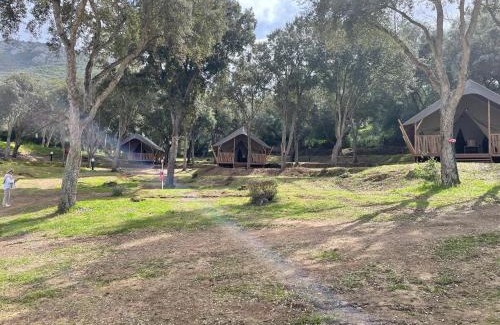Belvedere-Campomoro Other | lodge lavallee