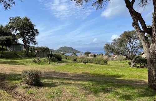Belvedere-Campomoro Other | lodge lavallee
