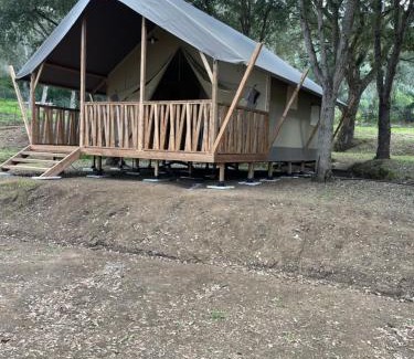 Belvedere-Campomoro Other | lodge lavallee