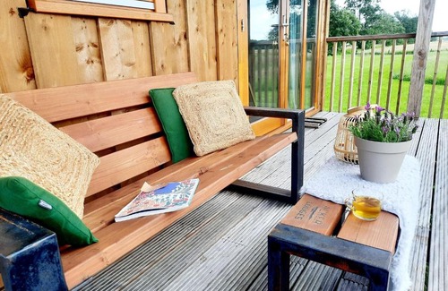 Ruinerwold House | Lodge with covered veranda in the fields of Ruinerwold