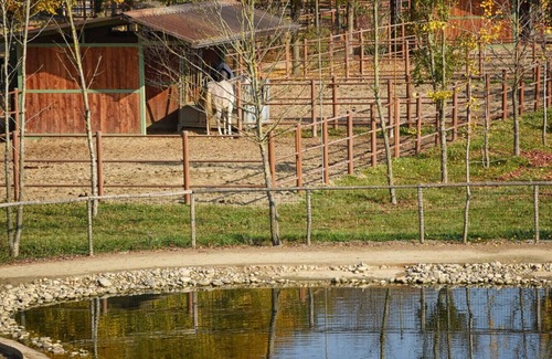 Rovigo House | Lodging immersed in the tranquility of the Polesana countryside