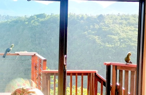 Victoria Bay Cabin | Loerie's Rest Cabin hideaway.