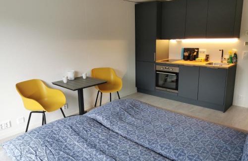 Svolvaer Apartment | Lofoten Studio Apartment, Vestermyrveien 11 Svolvær