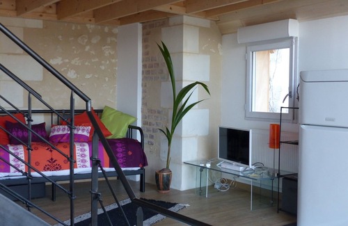 Amboise Cottage | Loft 3 * partly troglo, downtown, parking, garden, superb view, 4/5 pers