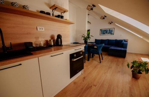 Pluzine Apartment | Loft apart Pluzine