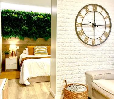 Pontevedra Apartment | Loft centro Pontevedra