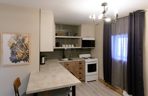 Rouyn-Noranda Apartment | Loft in the city centre (Le Court-toit)