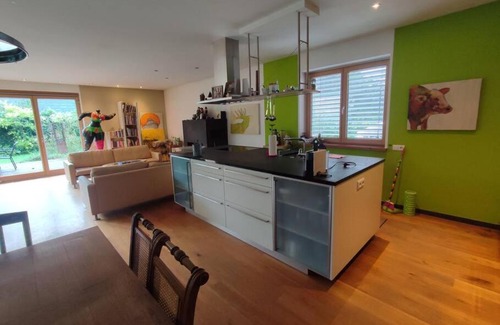 Lustenau Apartment | Loft mit Kamin und Whirlpool