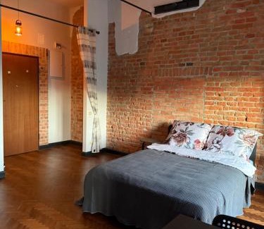 Zyrardow Apartment | Loft Studio