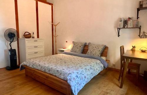 Avignon City Centre Apartment | Loft transversant avec balcon