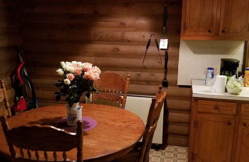 Somerset House | LOG Cabin, 5 miles from town, but very country setting