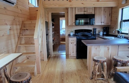 Northeast Michigan Cabin | Log Cabin Tiny Home Getaway on 22 acres