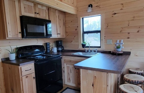 Northeast Michigan Cabin | Log Cabin Tiny Home Getaway on 22 acres