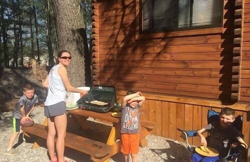 Williamsburg Cabin | Log Cabin - Williamsburg Pet-Friendly Log Cabin – Heated Pool, Free Game Room, Near Parks