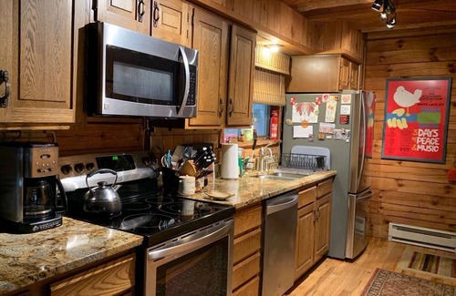 Cochecton Cabin | Log Cabin with Hot Tub, Sauna, Private Pond, 23 acres - 4.6 mi to Bethel Woods