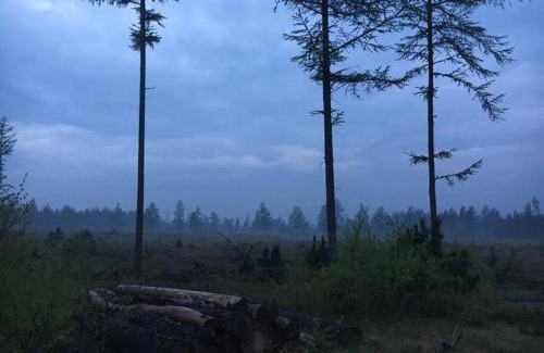 Ikast-Brande Municipality House | Log-House Wildernest