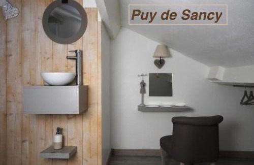 Clermont-Ferrand Apartment | Logements Chaîne des Puys avec garages attenants