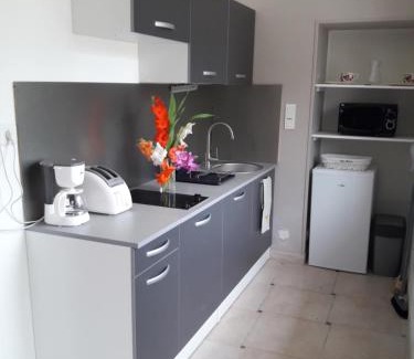 Saint-Hilaire-la-Palud Apartment | Logis de LANGE studio 2 p