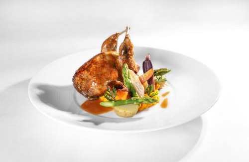 Pierre-Buffiere Hotel | Logis Hotel Auberge Dupuytren