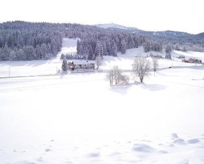 Lamoura Hotel | LOGIS Les Arobiers