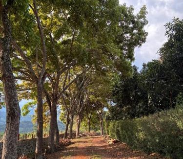 La Mesa Bed & Breakfast | LOMA LINDA Hotel de Naturaleza