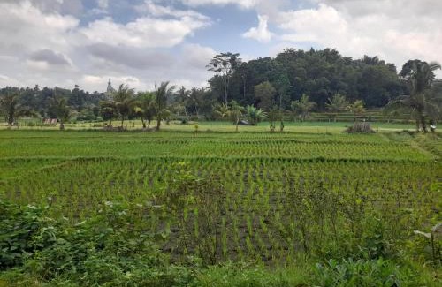 Batukliang House | Lombok cahaya