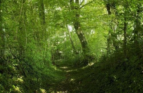 Pervencheres House | Longère 18ème siècle dans le Perche avec WIFI et animaux acceptés - FR-1-497-49