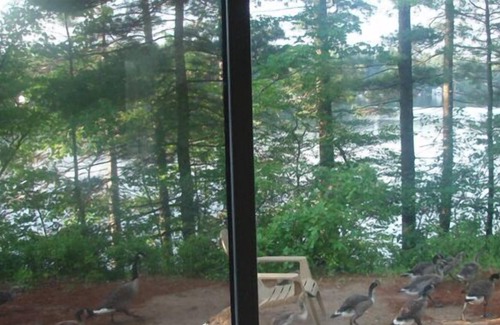 Brantingham Cottage | Long Point Cottages - "Land's End "- Your Private Adirondack Lakefront Get Away