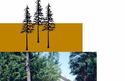 Brantingham Cottage | Long Point Cottages - "Land's End "- Your Private Adirondack Lakefront Get Away