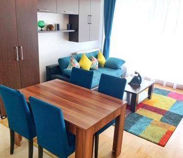 Cluj County Apartment | Long Term Business Apartment