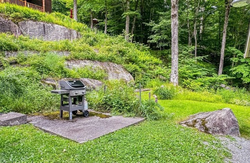 Old Forge House | Loon Dance Landing - Waterfront Property on 1st Lake