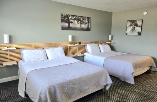 Kingston Hotel | Lord Nelson Motel